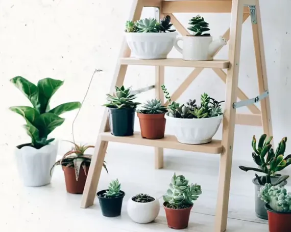 Floweraura floral e-commerce website portfolio by WitQualis