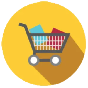 Witqualis e-commerce website development with responsive design and custom features