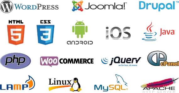 Witqualis web technologies solutions with expert web development, mobile apps, and scalable IT services